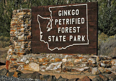 Ginkgo Petrified Forest Sate Park