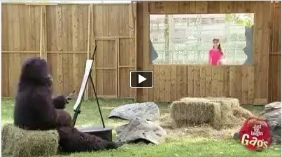 Painting Gorilla Funny Video Must Watch