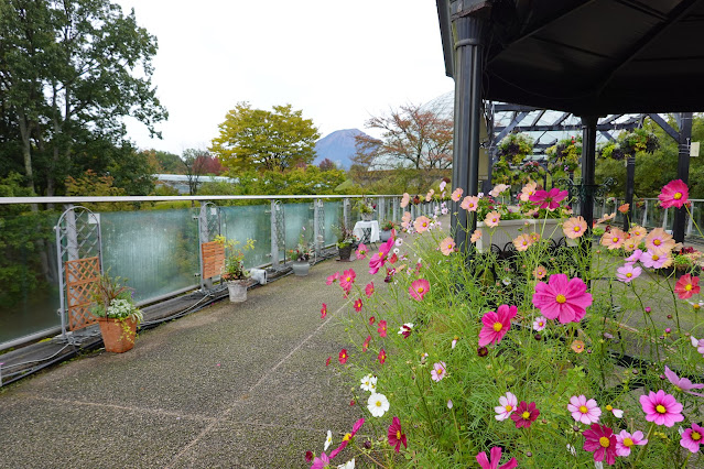 鳥取県西伯郡南部町鶴田　とっとり花回廊　プロムナード橋