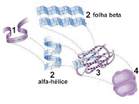 Estrutura Alfa Helice E Folha Beta