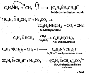 Solutions Class 12 Chemistry Chapter-13 (Amines)