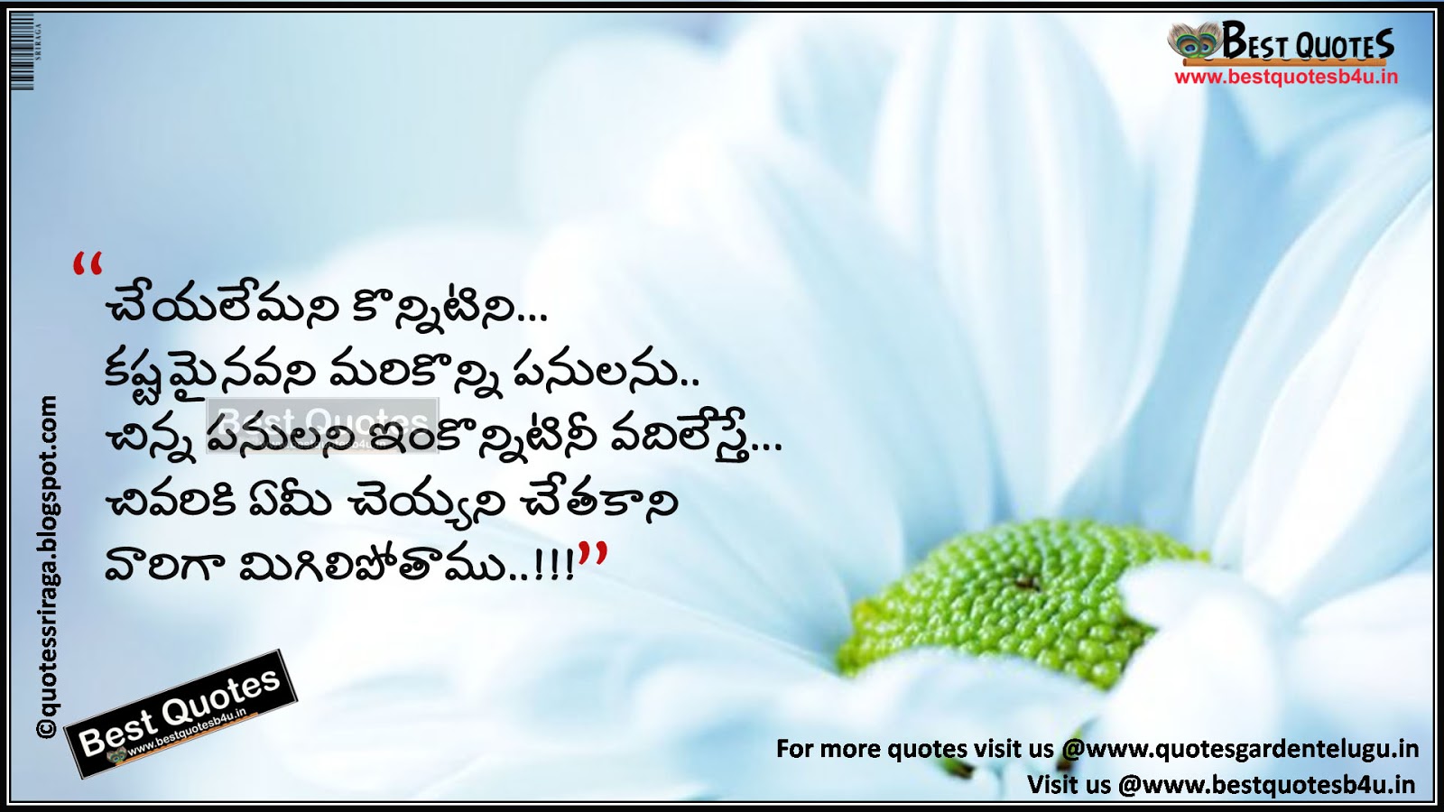 Top motivating telugu lines about attitude  Like Share Follow