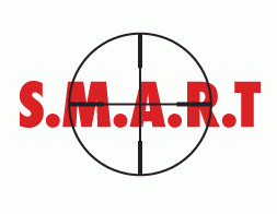 Using Nlp Coaching In Setting Smart Goals