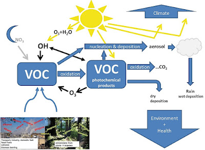 Relatie tussen VOC en aerosol productie