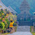 Paket Bali Safari Tour 
