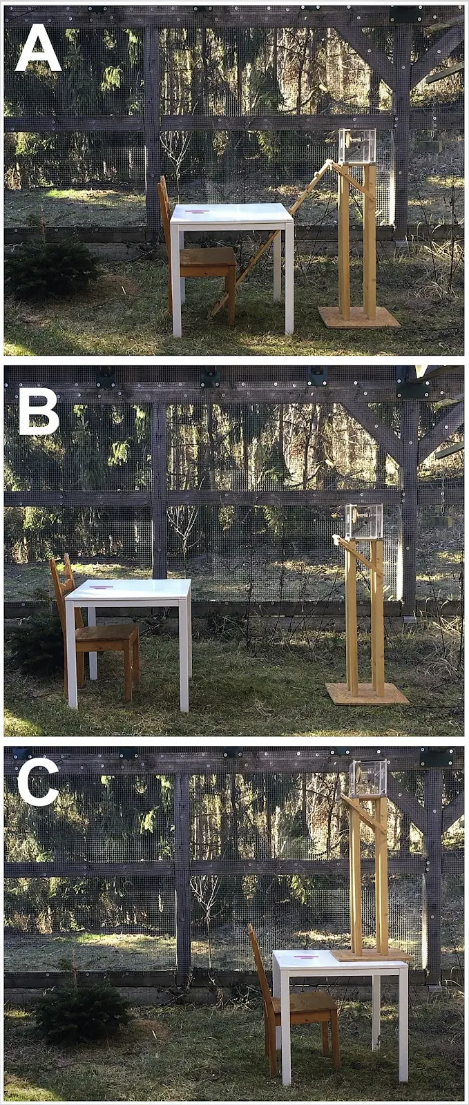 Experimental set up