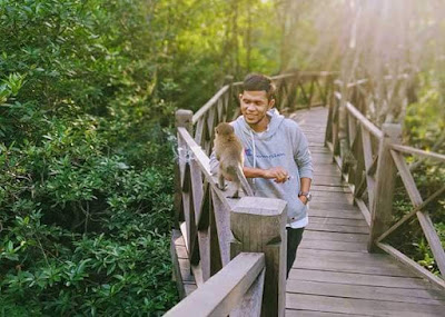 hutan mangrove langsa