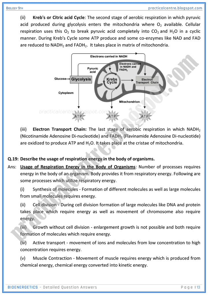 bioenergetics-detailed-question-answers-biology-9th-notes