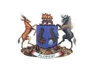 Bloemfontein flag
