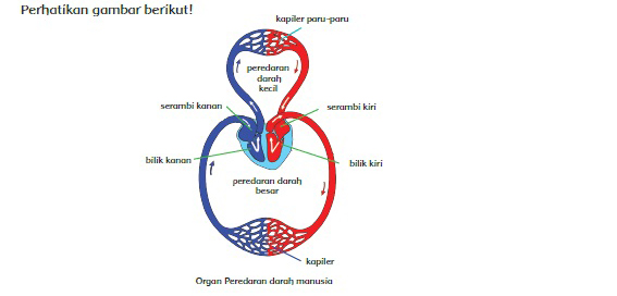  Materi dan Kunci Jawaban Tematik Kelas  Materi dan Kunci Jawaban Tematik Kelas 5 Tema 4 Subtema 1 Halaman 3, 6, 7, 8