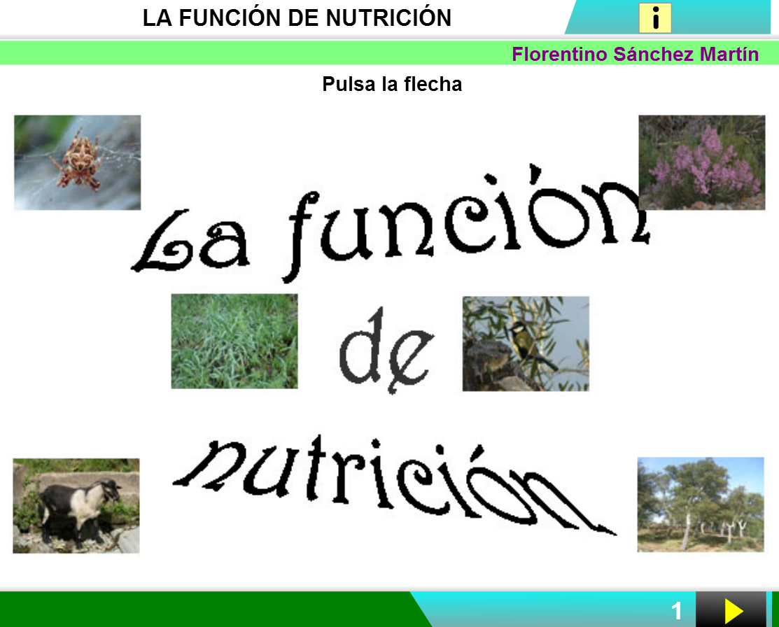 http://cplosangeles.juntaextremadura.net/web/edilim/curso_3/cmedio/los_seres_vivos_3/la_nutricion/la_nutricion.html