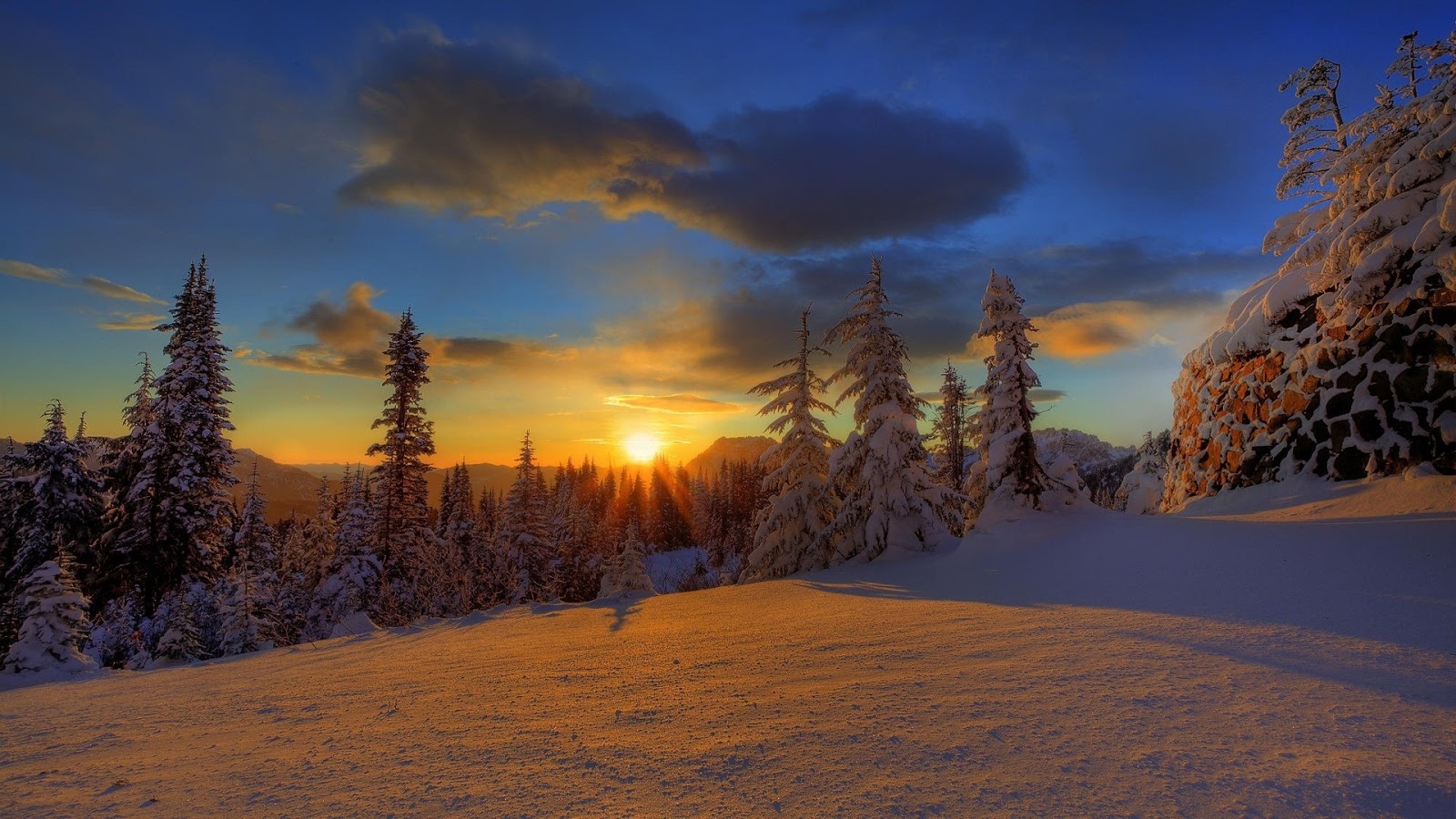 https://blogger.googleusercontent.com/img/b/R29vZ2xl/AVvXsEha6QcZZGSwAXOI0QI-VE6d1Grv-rg9yUhp1BfpecY9GvgE2GKPuDFesSuem8g0qK59aXXO0Unw9s7wmRWypI4EbMRnRg3pzQw3vWwo3E2c2Op7fSIDaBZTDBRtOcTC2mLYXYV9unMqAhA/s1600/forest-winter-sunset-windows-8-wallpaper-1920x1080.jpg
