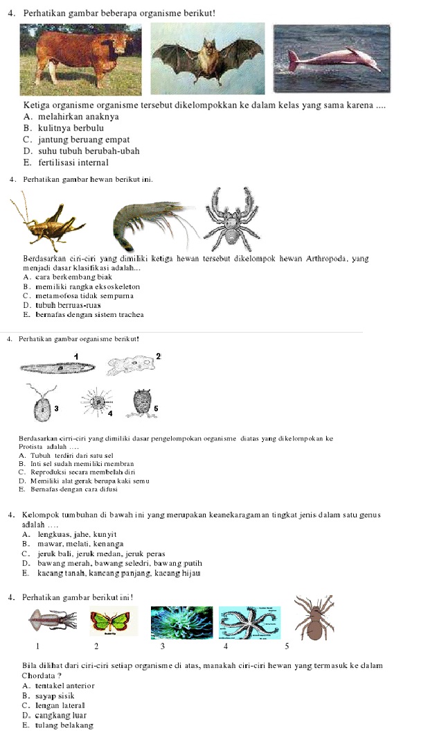 BIOLOGI GONZAGA PREDIKSI BIOLOGI UN 2013 IMAGE