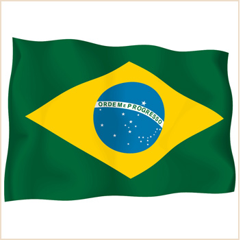brazilian flag bikini. Brazilian Flag Wallpaper.
