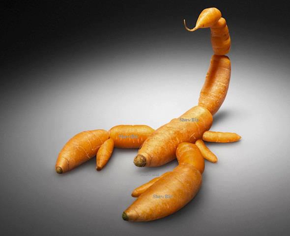 Carrot Scorpion 