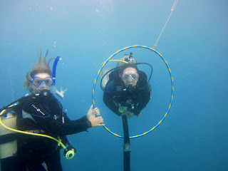 PADI Advanced Course in Tenerife