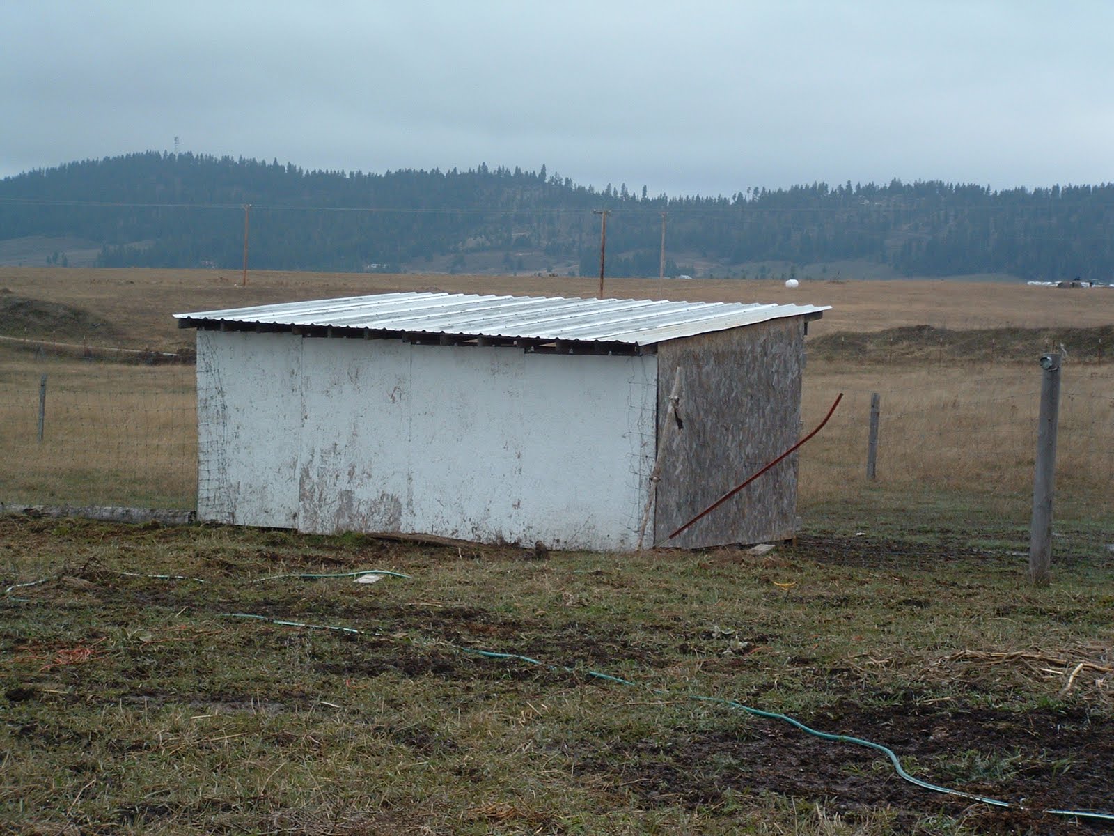 rural revolution: livestock shelter
