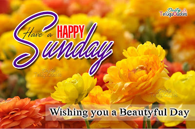 happy-sunday-wishes-quotes-and-sayings-with-yellow-flower-stock-photos