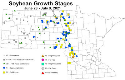 North Dakota and Minnesota map showing growth stages of soybeans in scouted fields.