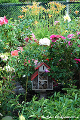 Insektenhotel zwischen Rosen