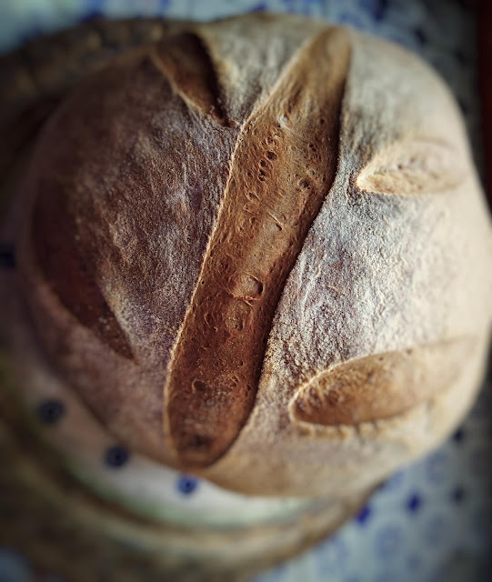 pane amish