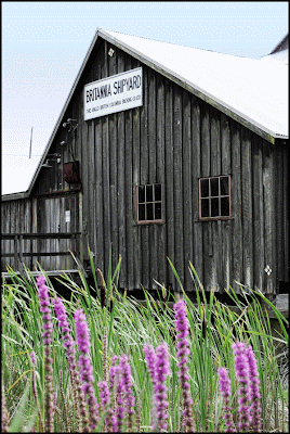 Britannia Shipyard with flowers