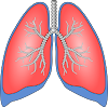 5 breathing exercises for improve lung health 