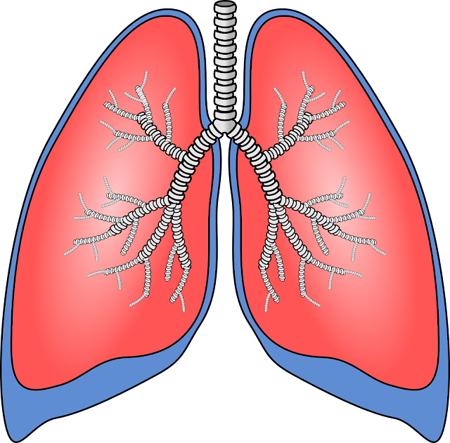 5 breathing exercises for improve lung health 