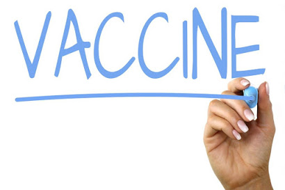 How Are Potential Vaccine Developed?