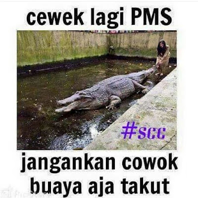 22 Meme Lucu 'Jangankan' Ini Kocak Banget Bikin Bahagia Sederhana