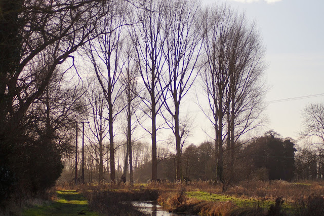 Norfolk countryside landscape photographs 2015