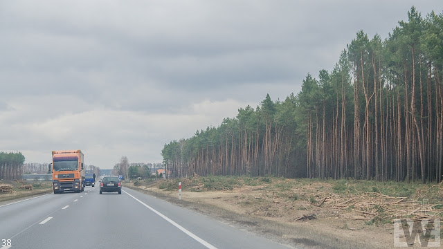 Wycinka drzew pomiędzy Białymi Błotami a Pawłówkiem