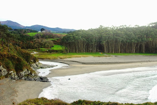 Vista de la playa de Frejulfe