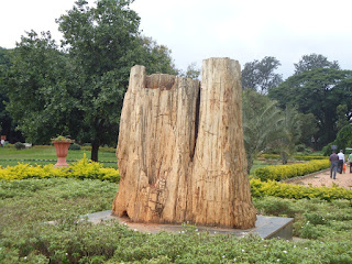 Lalbagh, Bangalore