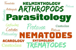 Veterinary Parasitology word cloud