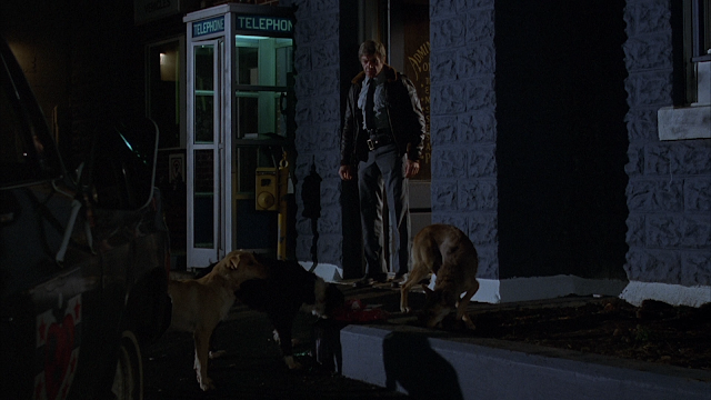 man and his dog find the last ever phone booth