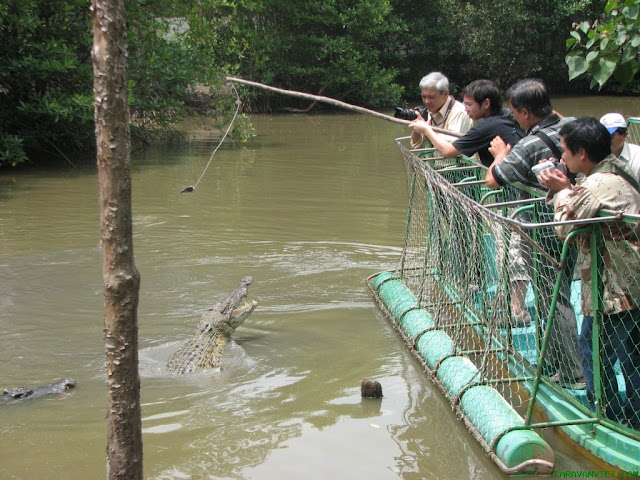 Khu Du lịch Sinh thái Vàm Sát