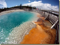 GOPR4305-Picasa