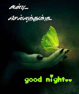 Good Night Whatsapp Status in Tamil, Dp, Images, Quotes, SMS, Wishes Download.