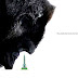 Gorilla (advertisement)