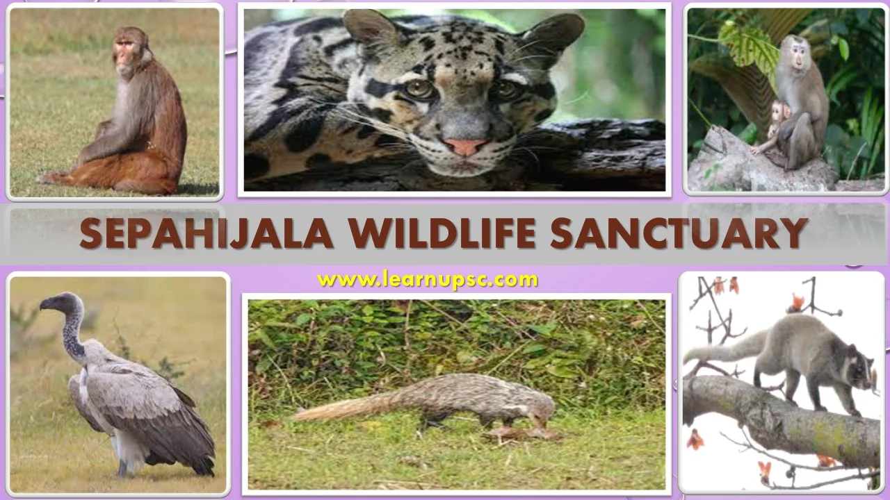Sepahijala Wildlife Sanctuary