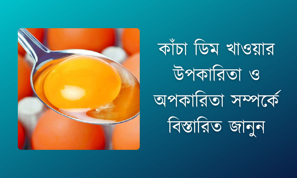 কাঁচা ডিম খাওয়ার উপকারিতা ও অপকারিতা সম্পর্কে বিস্তারিত জানুন