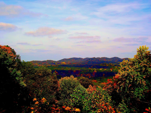 Jackson State Forest - Brownstown, Indiana