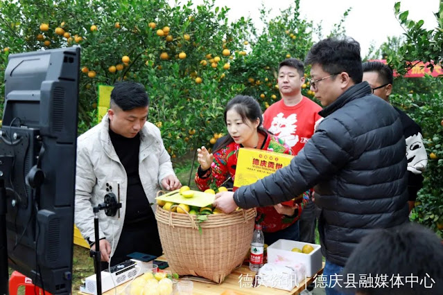 Online live streaming to help farmers sell Deqing tribute tangerines