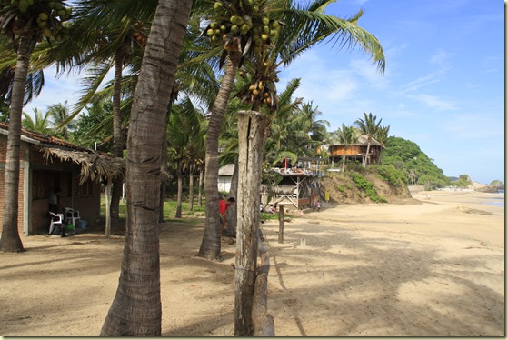 Mazunte 222