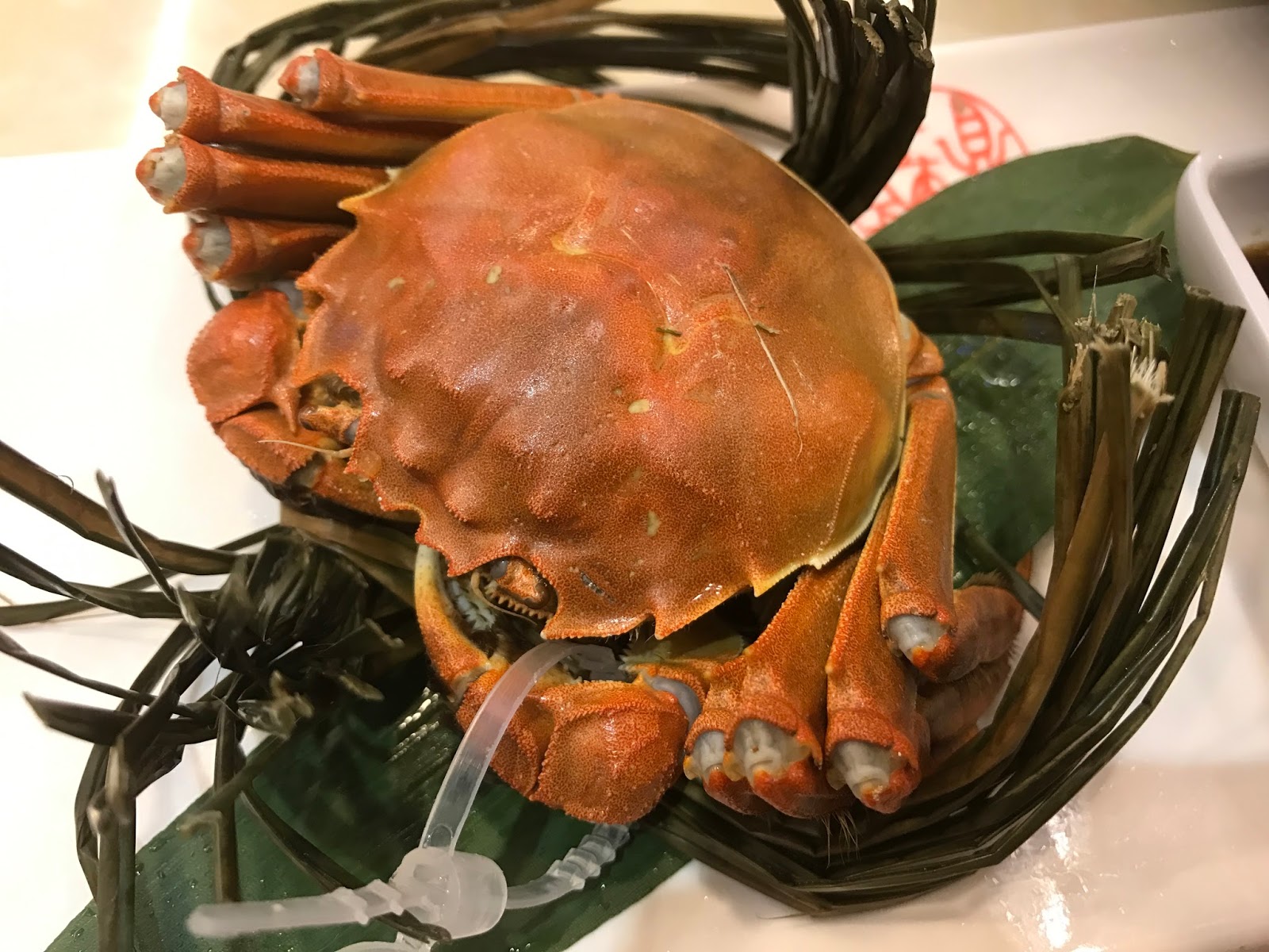 沖縄たべもの語り モクズガニ Eriocheir Japonica