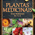 Plantas Medicinais: Guia de Plantas em Casa Especial Ed.03 eBook Kindle