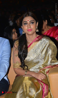 Actress Shriya Saran New Images in Silk Saree at Gautamiputra Satakarni Audio Launch  0030.jpg