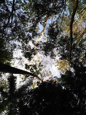 Hutan Kota Malabar (1)