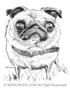 Famous dog quotes (pug )